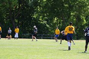 OTFL Gallery Image
